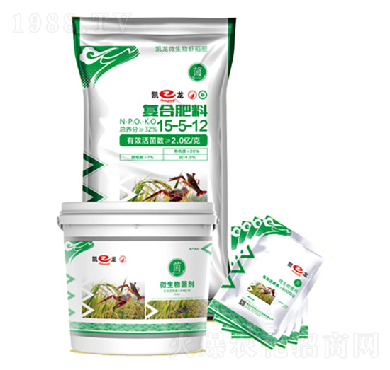 �r���ײͷ�-�P�����d