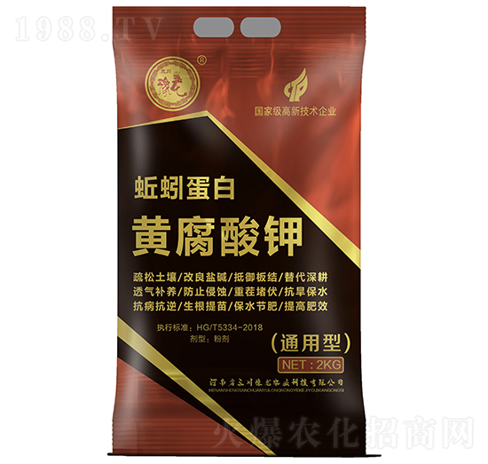 ��򾵰���S�����-����ԥ��