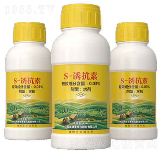 S-�T����-�����S