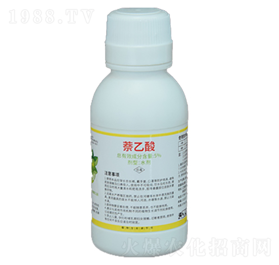 ������-�����S