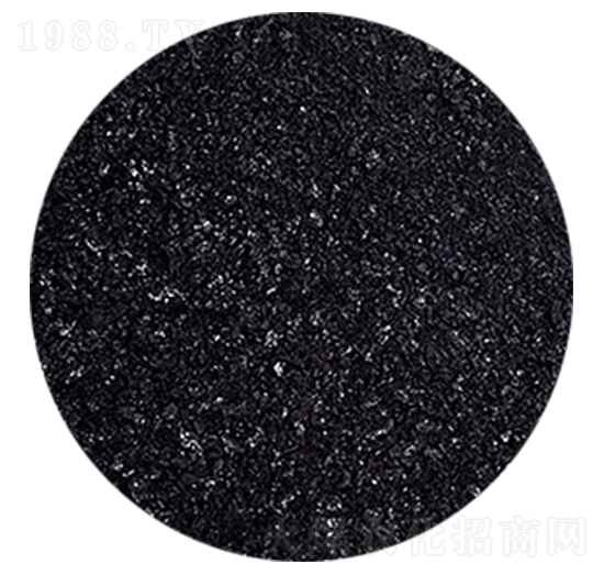 �S�����-�𺣵|