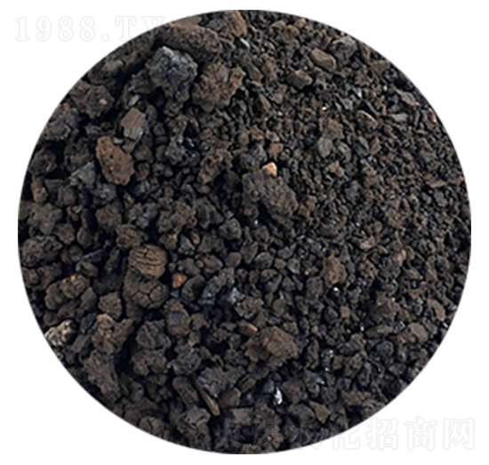 ��ֲ�����-�𺣵|