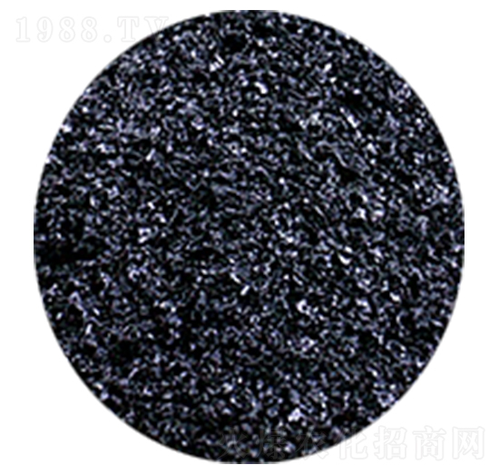 Ƭ�ֲ���-�𺣵|