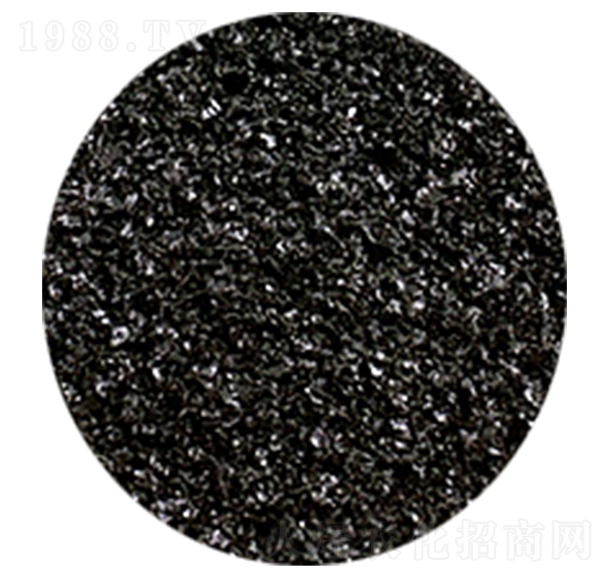 ��ֲ���c-�𺣵|