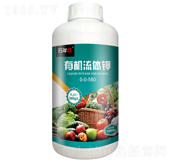 1000g�ЙC(j��)���w�-�f��t-�Z�\��