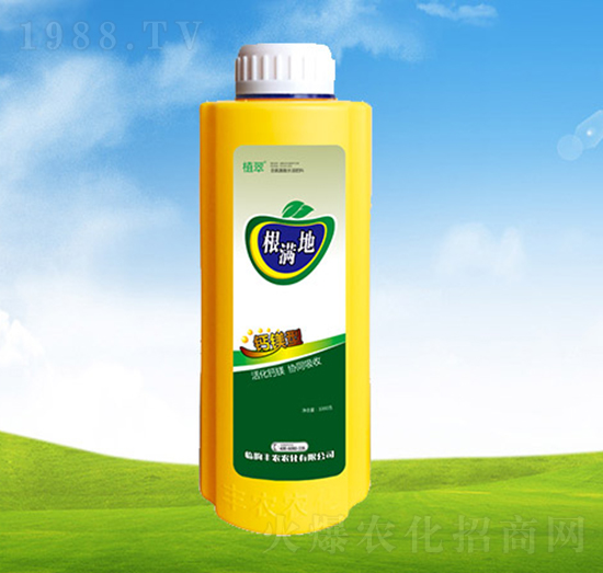 ���������I�B(y��ng)�B(y��ng)����-���M��-�S�r�r��