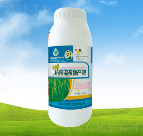 �������{���a��-ֲ��-�S�r�r��