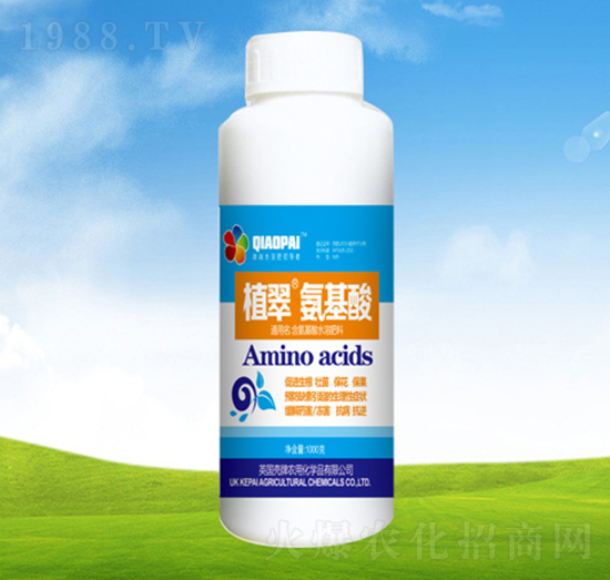 �����᡾ƿ��-ֲ��-�S�r�r��