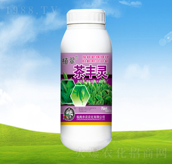 ���S�`��ƿ��-ֲ��-�S�r�r��