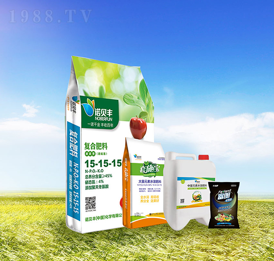 �ײ�A-�Zؐ�S