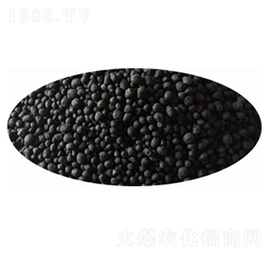 �w�����(f��)���-�|�r(n��ng)��