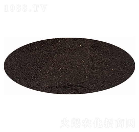 ��ĩ�������ЙC(j��)��-�|�r(n��ng)��