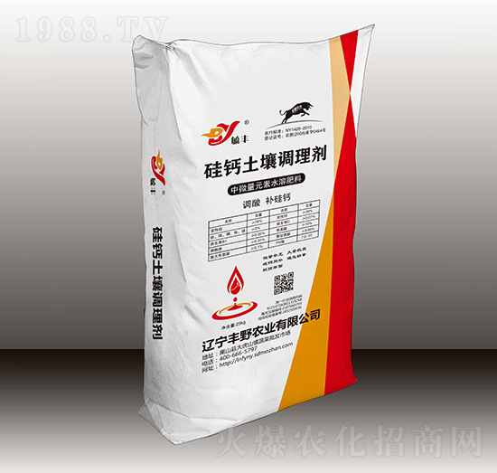 ���}�����{�턩-�SҰ�r�I(y��)