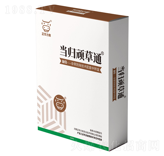 ��(d��ng)�w�B��ͨ-���A����