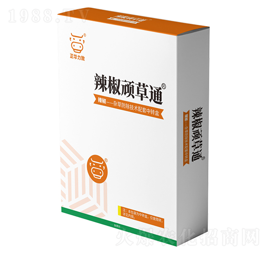 �����B��ͨ-���A����