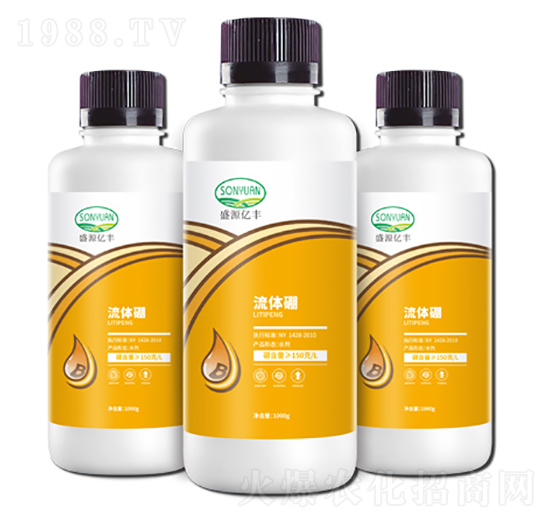 ���w��-ʢԴ