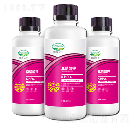 �������-ʢԴ