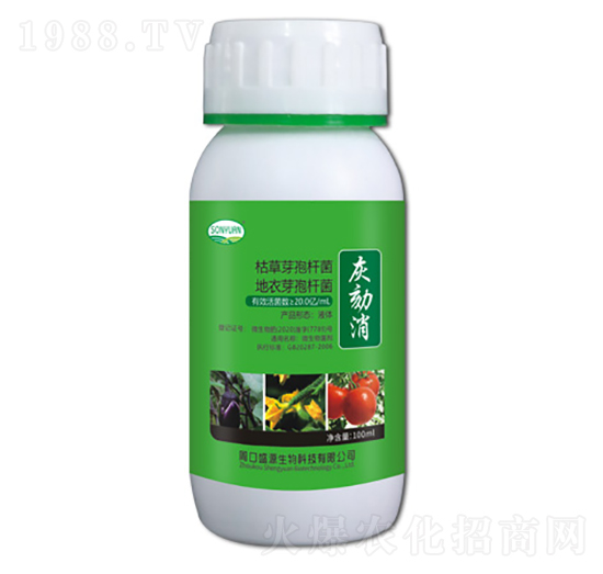 ������-ʢԴ