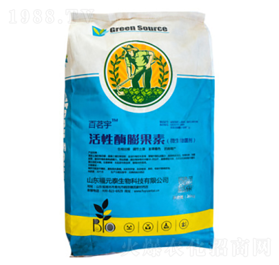 ����ø�����-��Ԫ̩