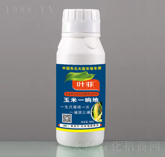 ����һ�ε�-�°��~��