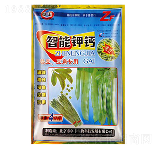 �|�����ǌ���-������}-�����ʘI(y��)