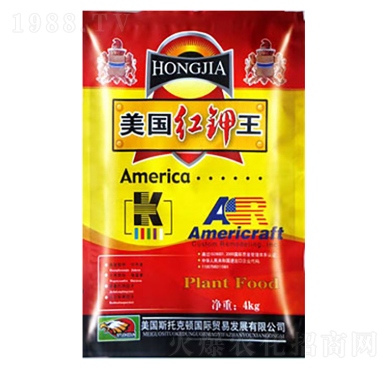 �����t���-�����ʘI(y��)