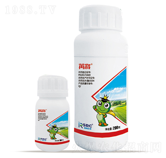 12%�׾S�x����-�ی�-���r(n��ng)