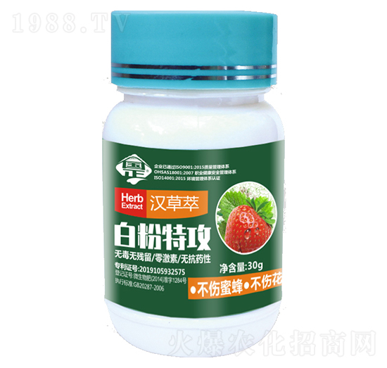 �׷��ع�-������