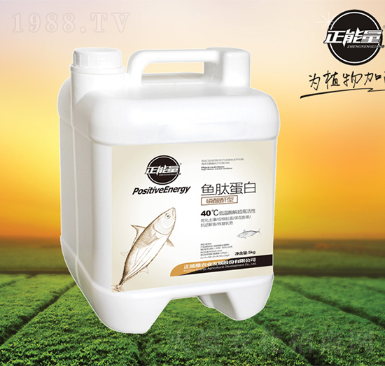 �~(y��)�ĵ���-������-������