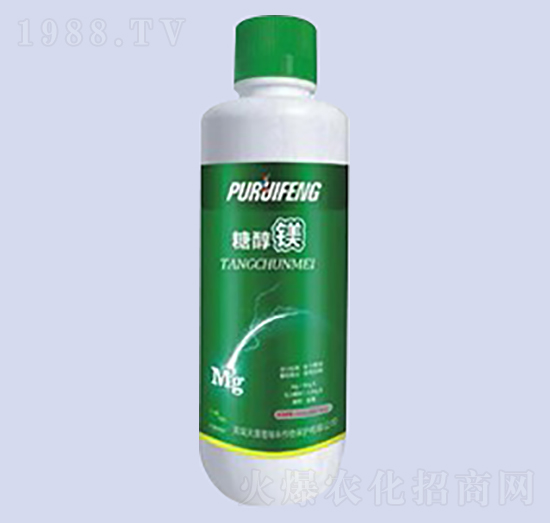 �Ǵ��V-�����ʘI(y��)