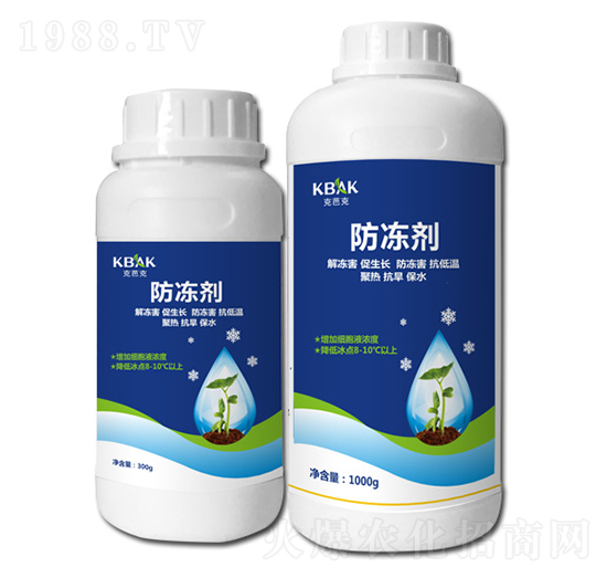 ������-�˰ſ�