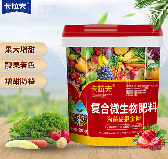 ��(f��)��΢�������-��������S���-������