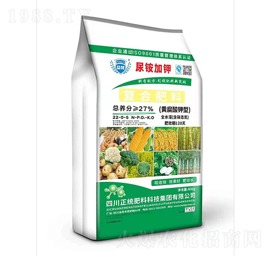 �S������͏�(f��)�Ϸ���22-0-5-�P������