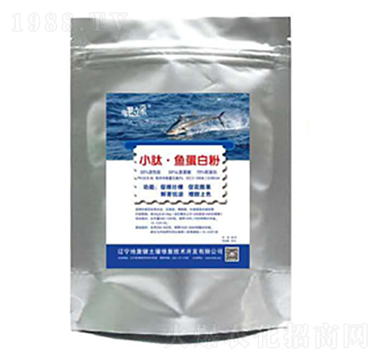 С���~���׷�-�؏ͽ�