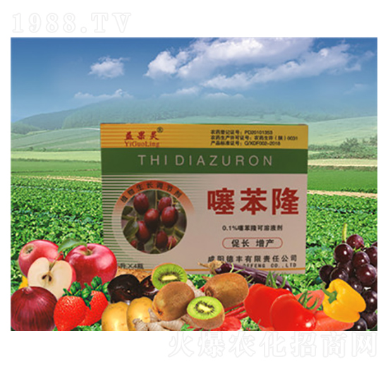 �󗗌����籽¡-���S