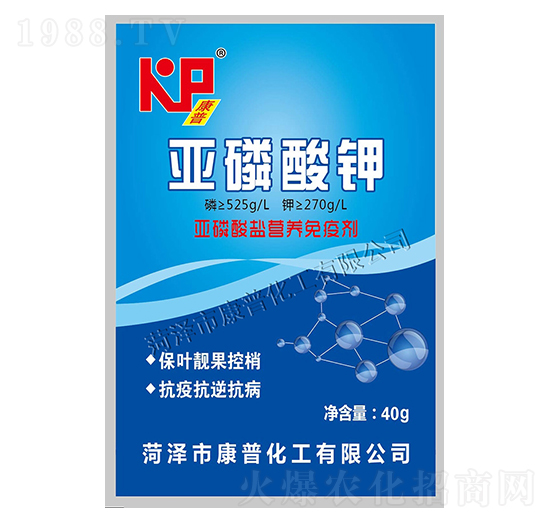 ������⛠I(y��ng)�B(y��ng)���߄�-���շʘI(y��)