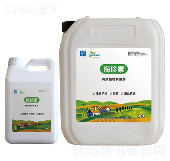 ������-������