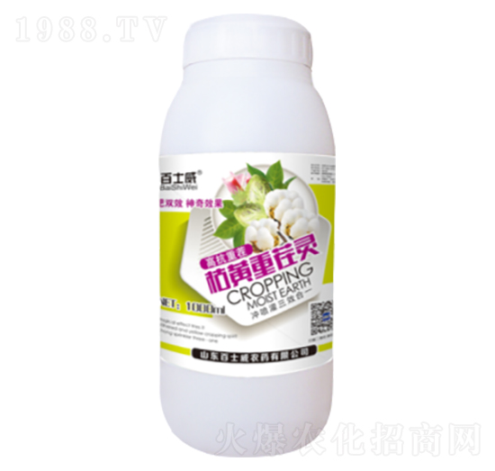 ���S�ز��`-��ʿ��