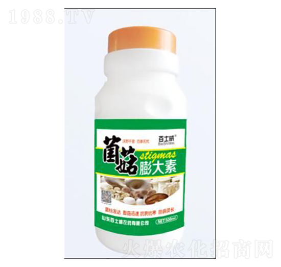 ���������-��ʿ��