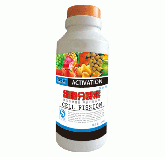 ����������-��ʿ��