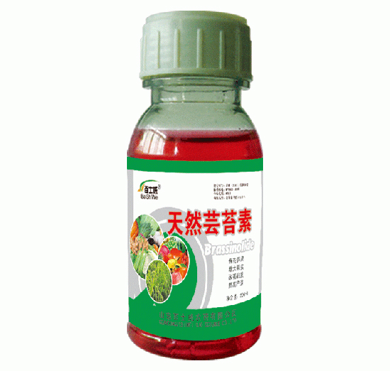 ��Ȼ�|̦��-��ʿ��