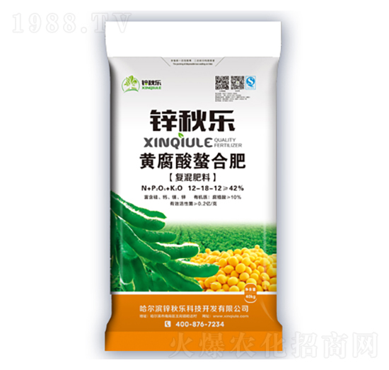 �S�������Ϸ�-�\�