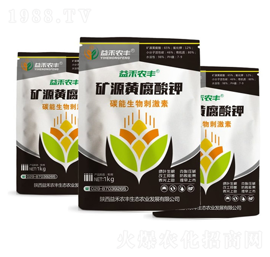 �VԴ�S�����-����r�S