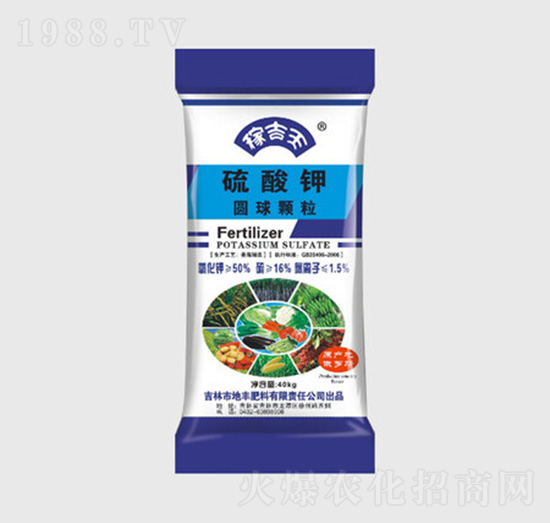 �A���w�������-�����