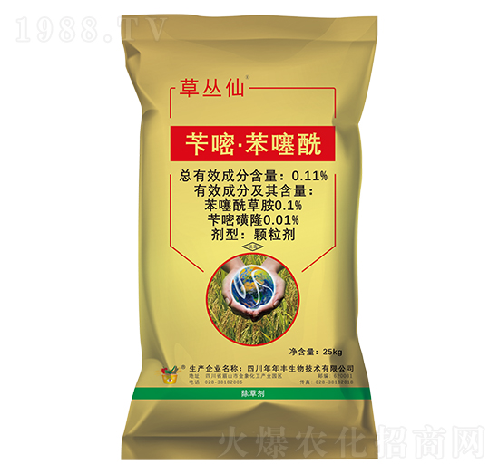 �S�ס�������������ˎ��-�ݏ���-�����S����