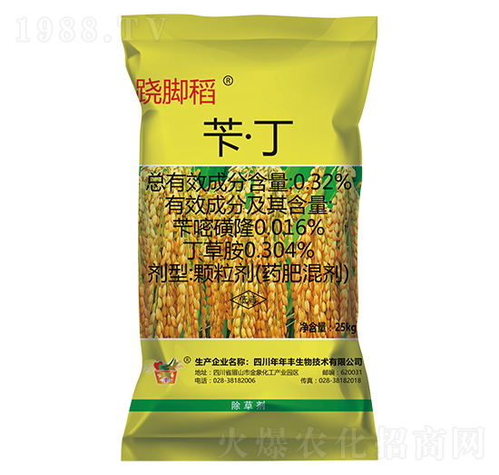 �S����������ˎ��-�E�_��-�����S����