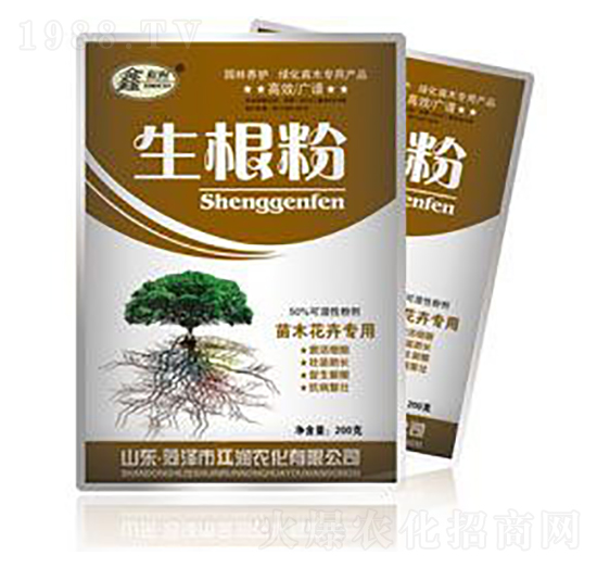 ������-��������