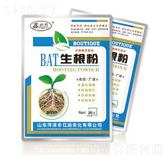 BAT������-����(r��n)����