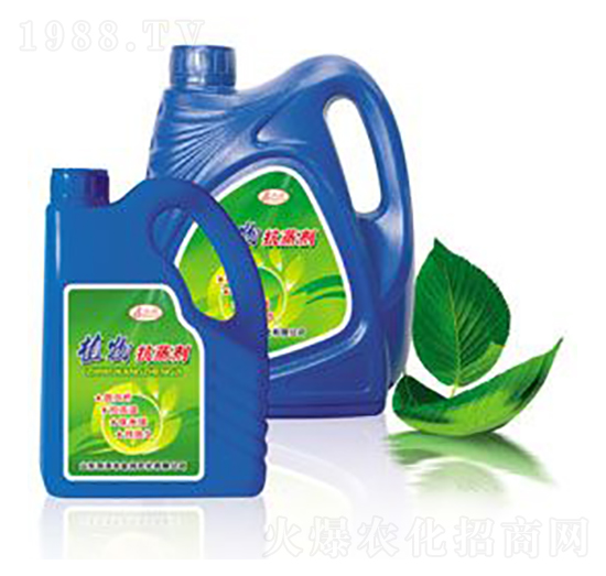 ֲ�￹��-��������