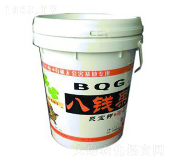 ���X���ی��-�A�I����